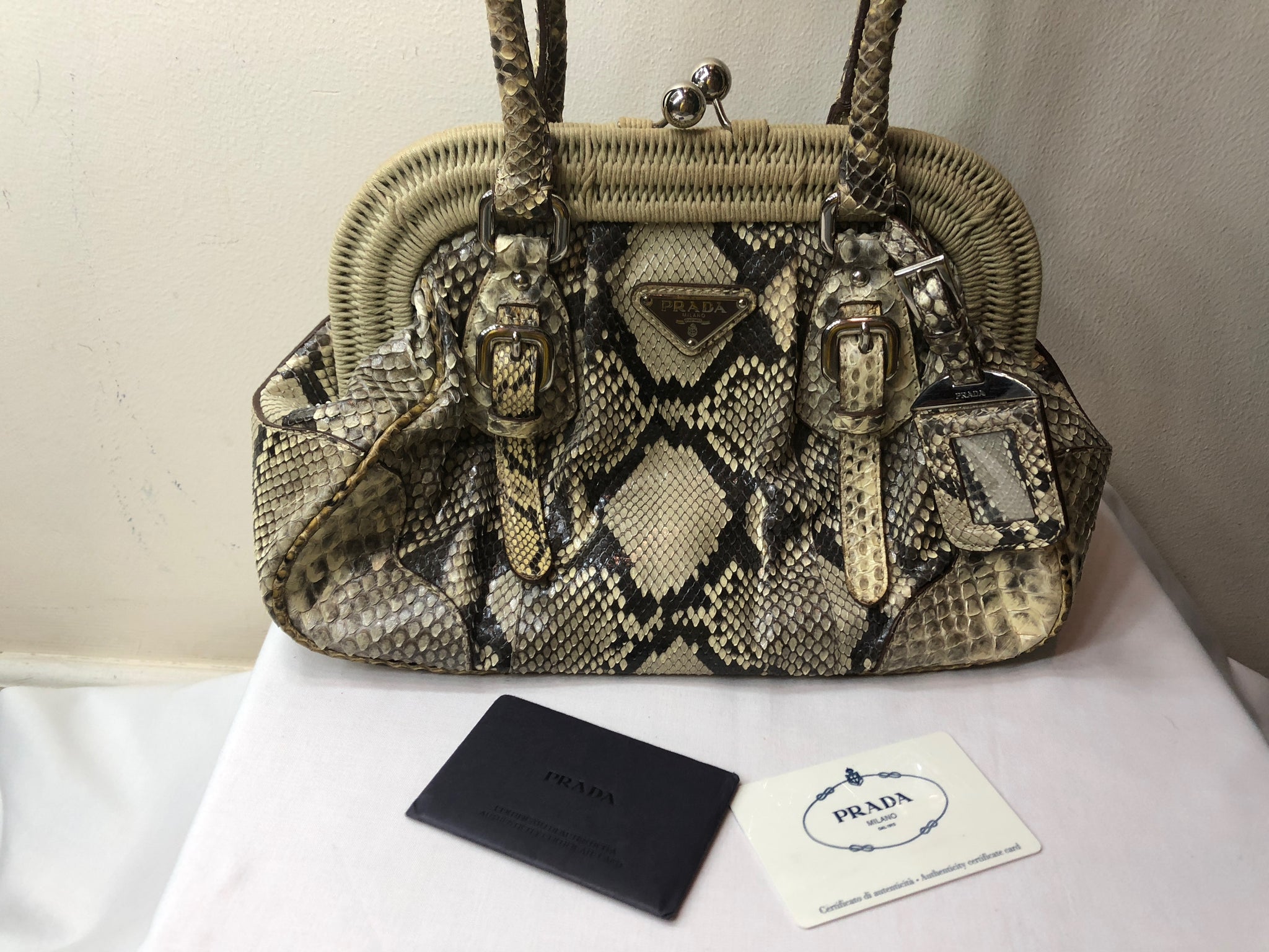 Prada Python Frame Bag with Kiss Lock – Dyva's Closet